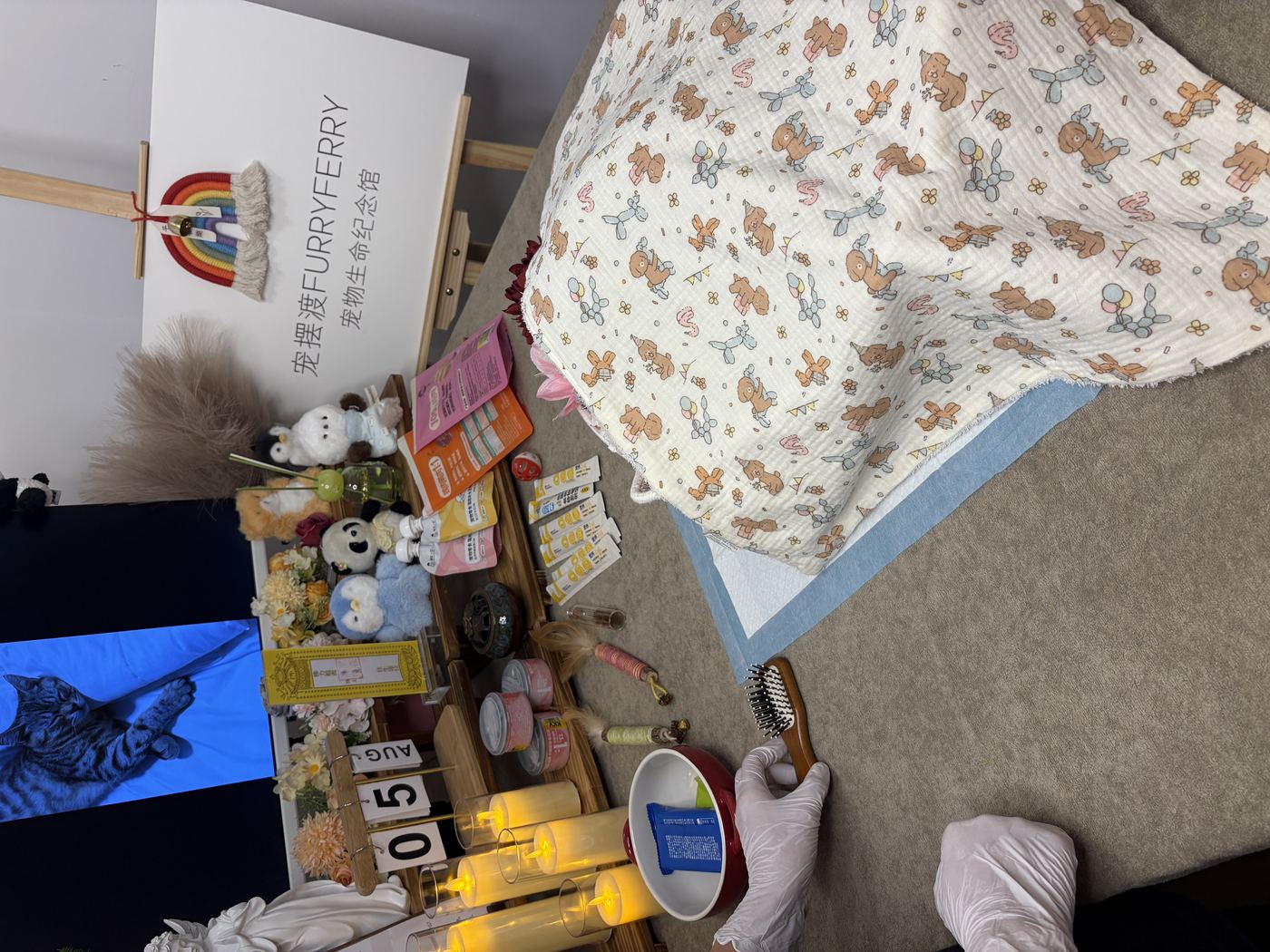 一、办理流程拆解：每一步做什么